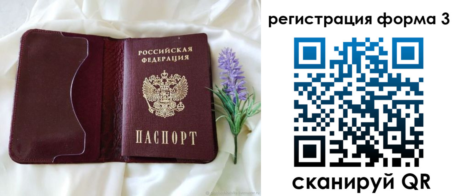 прописка для работы в Каргополе